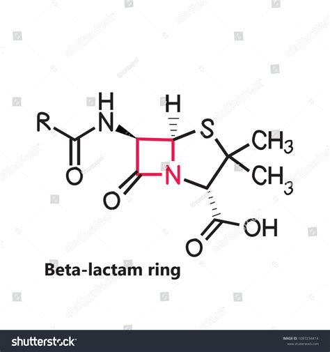 Beta Lactam Ring Penicillin Chemical Structure Vector De Stock Libre