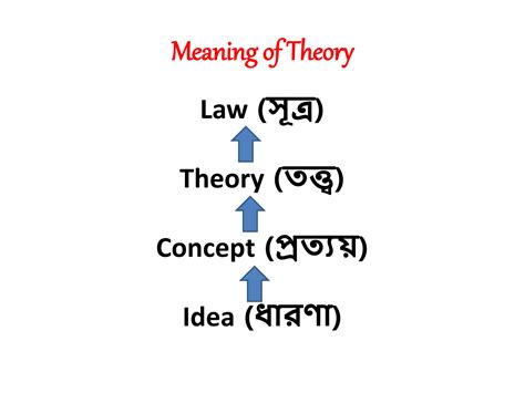 Acss 272 Unit 1 Sociological Theoriespptx