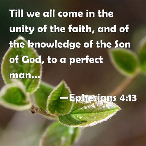 Ephesians 4 13 Till We All Come In The Unity Of The Faith And Of The