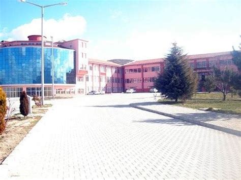 Dumlupınar Üniversitesi Simav Sağlık Hizmetleri Meslek Yüksekokulu Ne