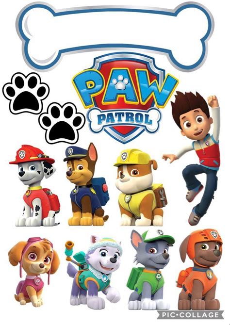 Pin By Cecilia On Pines Creados Por Ti Paw Patrol Birthday Paw