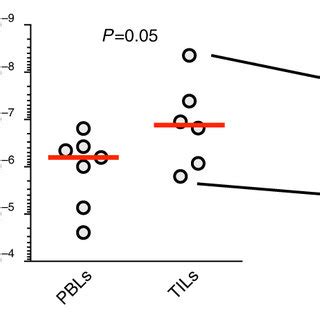 Functional Analyses Of Neo Epitope Specific PBLs And TILs A