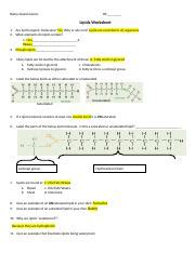 Lipids Worksheet 1 Docx Name David Garces Pd Lipids Worksheet