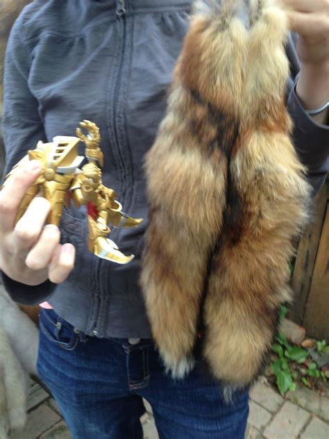 Awkward Sonic Photos, Tails why!?