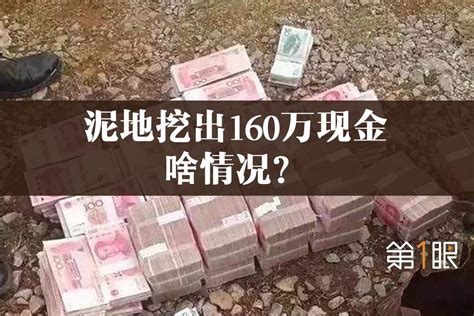 泥地里挖出160万！上海警方破获特大诈骗案，揭开亿元骗局套路！凤凰网视频凤凰网