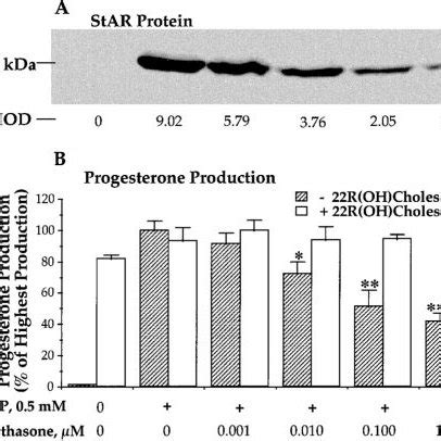 Arachidonic Acid Reversal Of The Inhibitory Effects Of The Pla