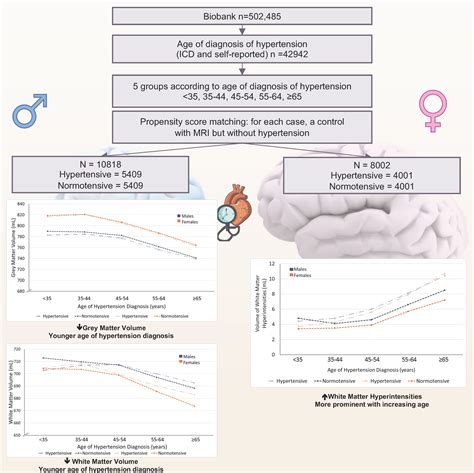 Sex Differences In The Association Of Age At Hypertension Diagnosis