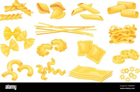 Cartoon Pasta Types Dry Macaroni Various Shape Type Spaghetti Fusilli