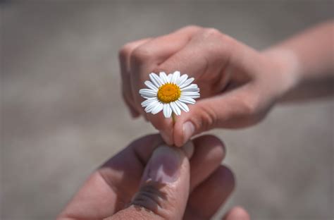 Flowers For Someone Special