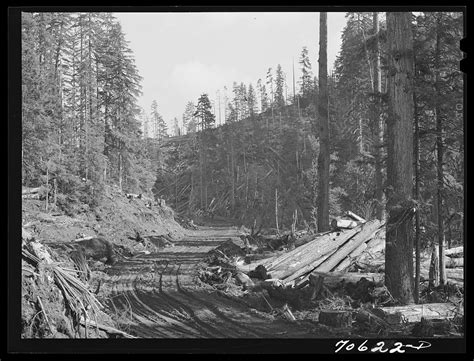 Long Bell Lumber Company Cowlitz County Washington Logging Road