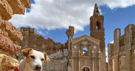 Vacaciones Petfriendly Planes Y Destinos Para Veranear Con Perros En