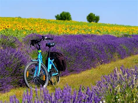 Fietsen In Frankrijk X Tips Voor Fietsvakanties