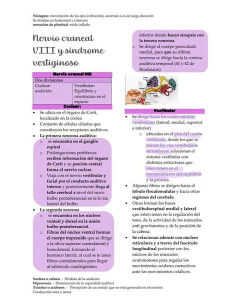 Sindrome vertiginoso y nervio craneal VIII Montserrat Hernández uDocz