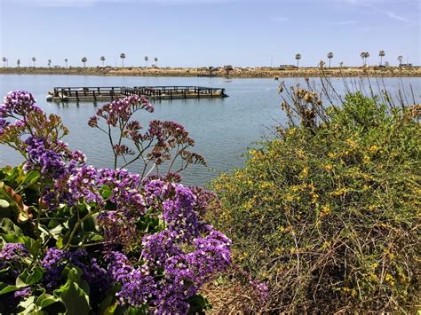 Hubbs Trail Tour at Agua Hedionda Lagoon – San Diego Beach Secrets