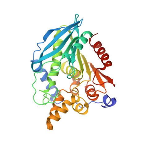 Rcsb Pdb Fyu Crystal Structure Of Acetyl Xylan Esterase From