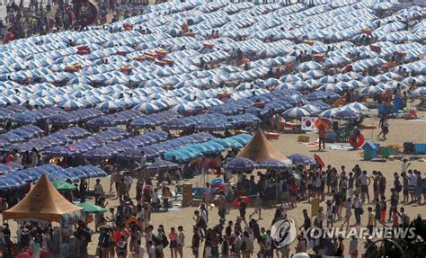 부산바다축제 개막피서객 인산인해 260만명 몰려 연합뉴스