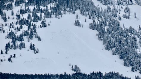 Natural Avalanches On Wheeler Mtn Gallatin National Forest Avalanche