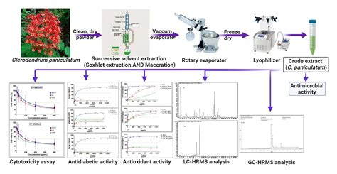 Phytochemical Profiling Of Clerodendrum Paniculatum Leaf Extracts Gc
