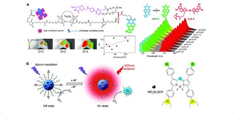 A Dual Ratiometric Fluorescent Nanoprobe For In Vivo PH Mapping