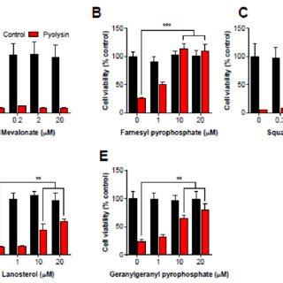 Cellular Sensitivity To Pyolysin A Bovine Endometrial Stromal Cells