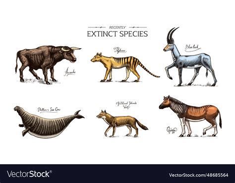 Extinct species wild mammal animals and birds Vector Image