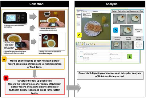 Nutrients Free Full Text Evaluation Of A Mobile Phone Image Based