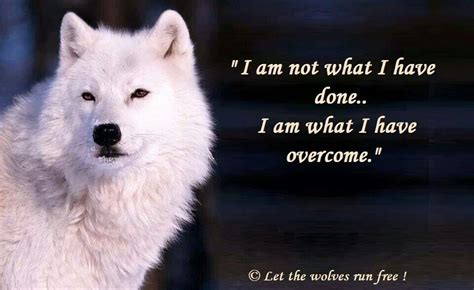 Lone Wolf Quotes About Strength