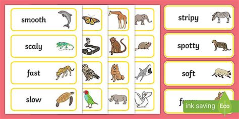 Animal Adjectives Word Cards | Adjective Examples - Twinkl