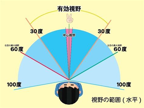 ビジョントレーニングの基礎③ 周辺視野 1｜中塚 祐馬｜note