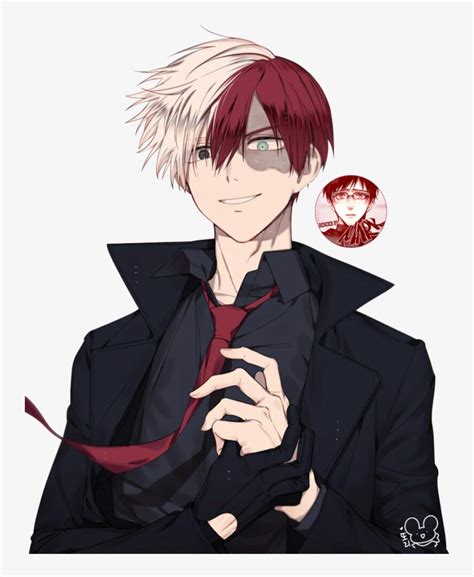 MHA Villain Todoroki