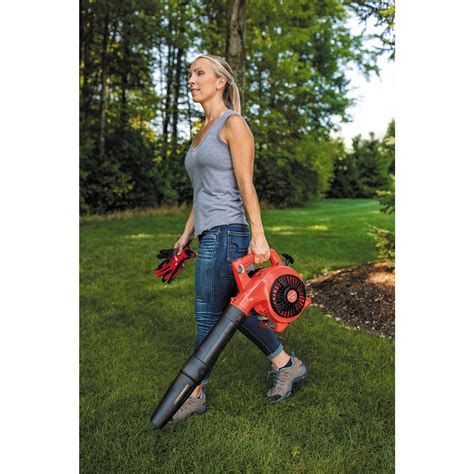 25cc 2 Cycle Gas Leaf Blower B2000 Craftsman