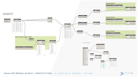 Curso De Revit Dynamo Y Python Programación Bim Editeca