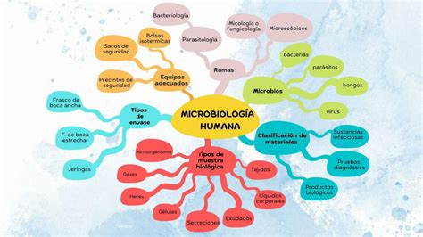 Microbiolog A Humana Mariela Eneque Udocz