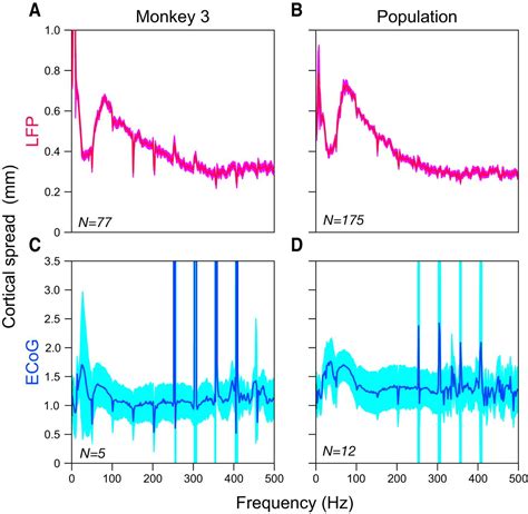 Cortical Electrocorticogram Ecog Is A Local Signal Journal Of