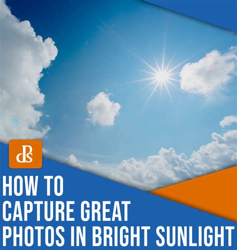 Photography in Bright Sunlight: 14 Easy Tips for Beautiful Results