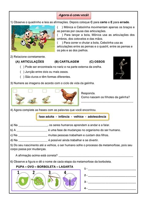 Atividade De Ciências 3º Ano Sololearn