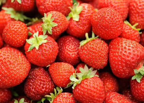 Honeoye strawberry 🍓 🌿 Delight in this extra-sweet variety