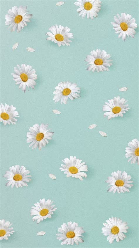 Wallpapers Daisy Phone Images Free Photos PNG Stickers Wallpapers