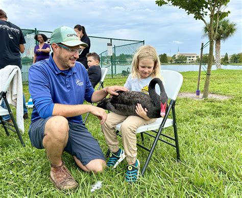 Lakeland's Swans Get Annual Checkups - LkldNow