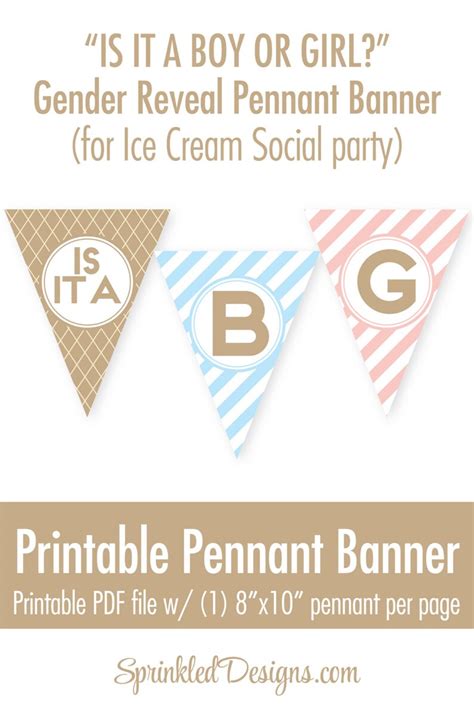 Ice Cream Social Gender Reveal Party Printable Decorations Etsy