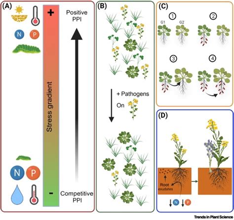 The Ecologically Relevant Genetics Of Plantplant Interactions Trends