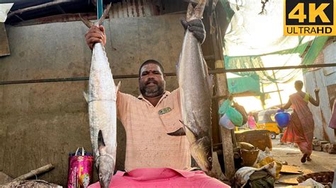 Vanjaram Fish Kadora Fish Cutting Video Fishcuttingrs Fishcuttingrs