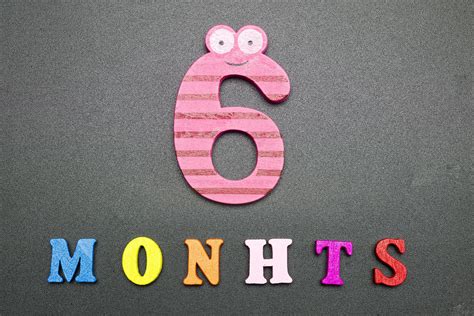 Six months on a black background. 4968254 Stock Photo at Vecteezy