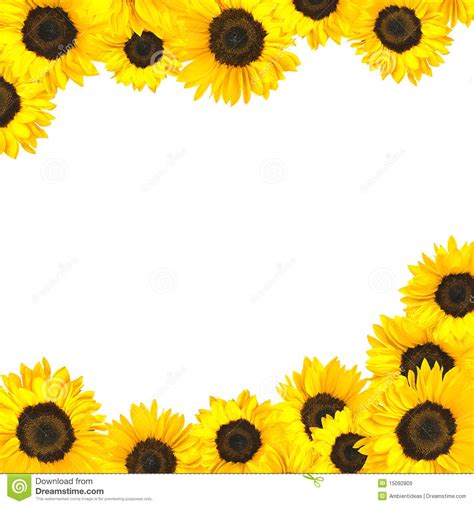 sunflower border clip art 10 free Cliparts | Download images on ...