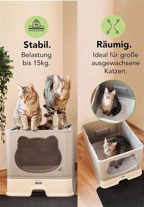 Biesma Deluxe Katzenklo Testbericht