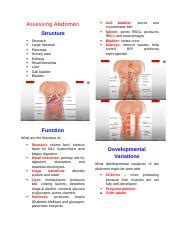 Assessing Abdomen Docx Assessing Abdomen Structure Stomach Large