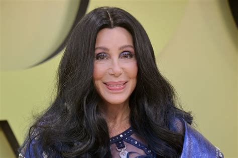 Look: Cher shares cover art for new Christmas album - UPI.com