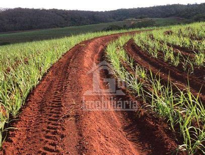 Imóveis à venda no bairro Zona Rural em Capivari SP Attria