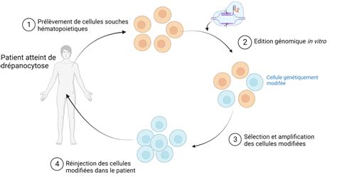 Dition G Nomique Planet Vie