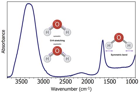 Analyzing Biofluids With Atr Ftir Spectroscopy